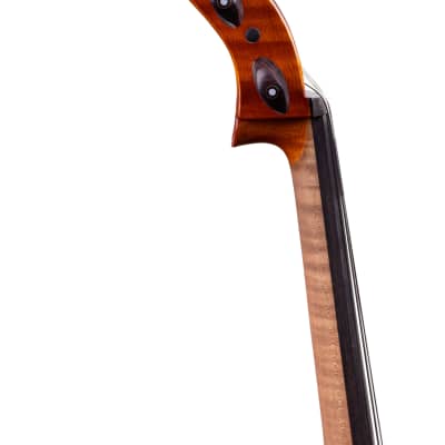 Great Goffriller Cello 4/4 PRO Level Hand-Made in Romania 2024 #28 image 15