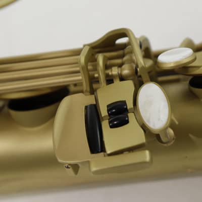 Antigua Winds Model TS4248CB 'Powerbell' Tenor Saxophone in Classic Brass Finish BRAND NEW image 9