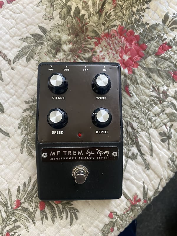 Moog Minifooger MF Trem Tremolo Pedal | Reverb