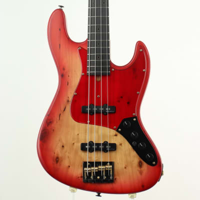 Bacchus WOODLINE417AC/EWC-BP'18