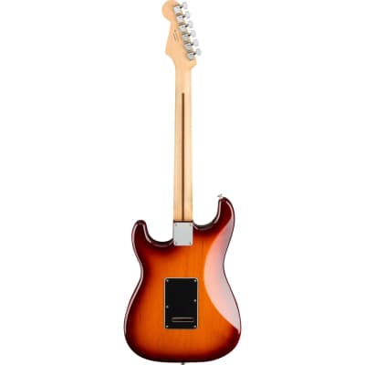 Fender Player Stratocaster HSS Plus Top - Pao Ferro Fingerboard, Tobacco Sunburst image 2