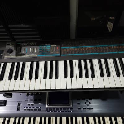 Korg Poly-800 1980s - Local Pickup Only