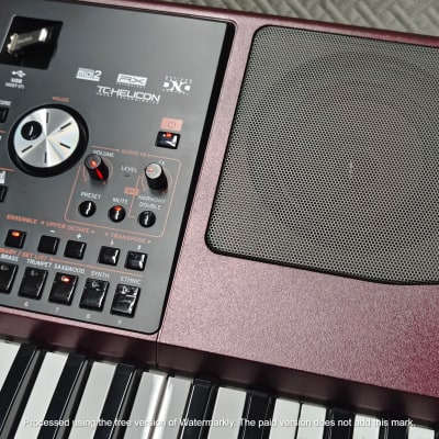 Korg PA1000 61-Key ✅ Professional Keyboard Arranger✅ Cleaned & Full Checked ✅ image 12