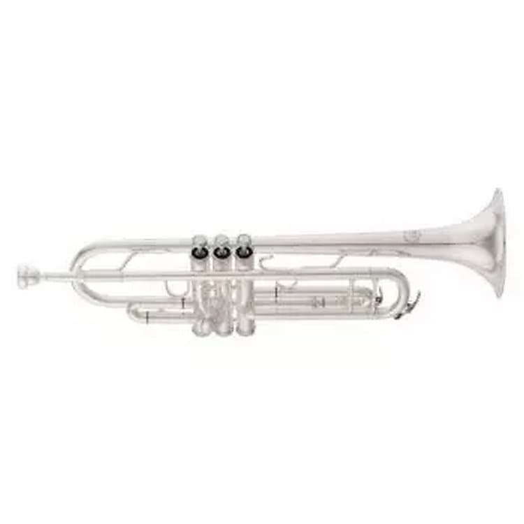 Eastman ETR520s Bb Trumpet - Silver image 1