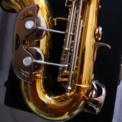 Borgani curved soprano saxophone 70's handmade killer sound! image 6