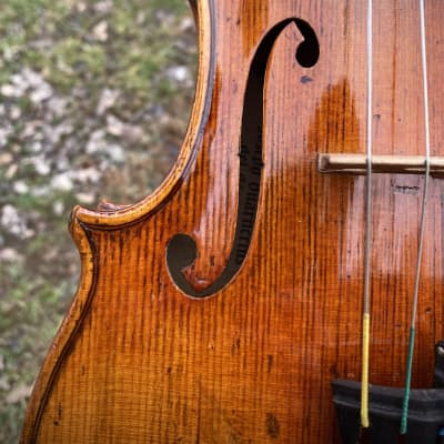 Old Violin with Karl Höfner Guarneri label 4/4 | Reverb Slovakia