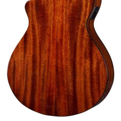 Breedlove Discovery S Concert 12 String CE Acoustic Electric Guitar Edgeburst European African Mahogany image 3