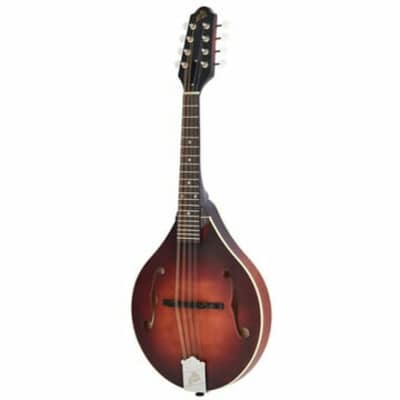 The Loar LM-110-BRB | Honey Creek A-Style Mandolin. Brand New! image 9