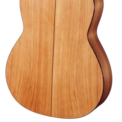 Spanish Flamenco Guitar CAMPS M5-S (blanca) - solid spruce top image 2