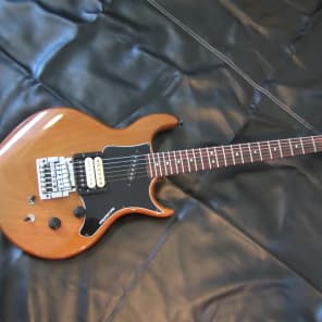 Hamer Prototype 1981 Natural with case image 2