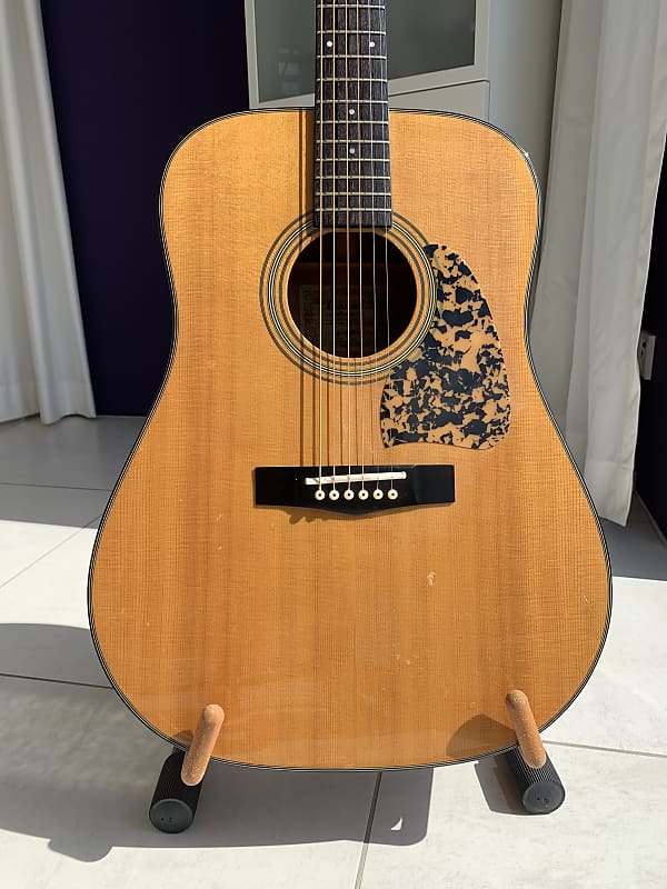 Ibanez AW20 - Chitarra Acustica Vintage con case rigido e tracolla - Buone  Condizioni Chitarre acustiche