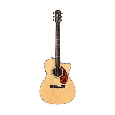 Fender PM-3 Limited Adirondack Spruce / Rosewood