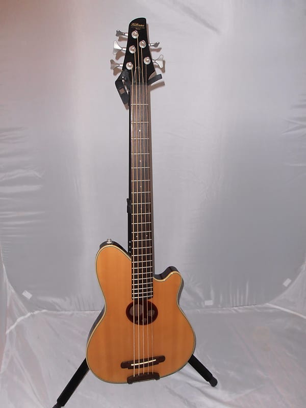 Ibanez TTR 35B 5 string  acoustic bass, nice! image 1