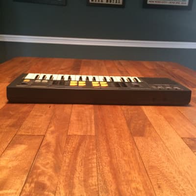 Realistic Concertmate 650 (Rebranded Casio SK-5) Digital