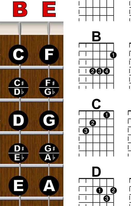  A New Song Music Laminated Guitar Chord & Fretboard Note Chart  & Picks Instructional Easy Poster for Beginners Chords & Notes 4 PICK  11x17