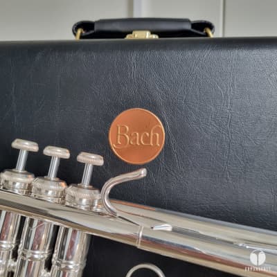 Vincent Bach Stradivarius 37 G GOLDBRASS bell trumpet GAMONBRASS case mouthpiece image 5