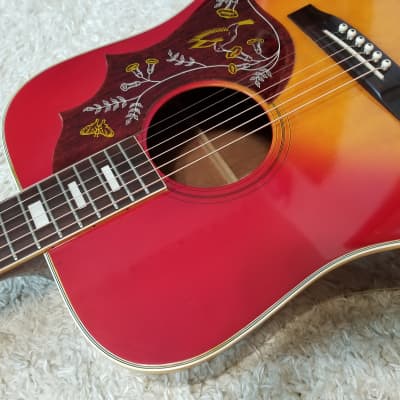 Takamine/Elite HM-25 in 1974 | Reverb