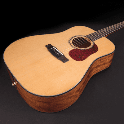 Cort Gold-D6 Natural Dreadnought All Solid Wood Torrefied Top Spruce Mahogany Acoustic Guitar image 5