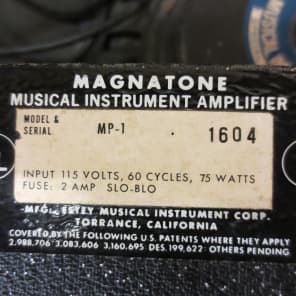 Magnatone MP-1 1x12 Vintage Combo 1966/67 image 2