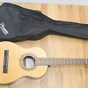 Jasmine by Takamine js141 acoustic guitar natural