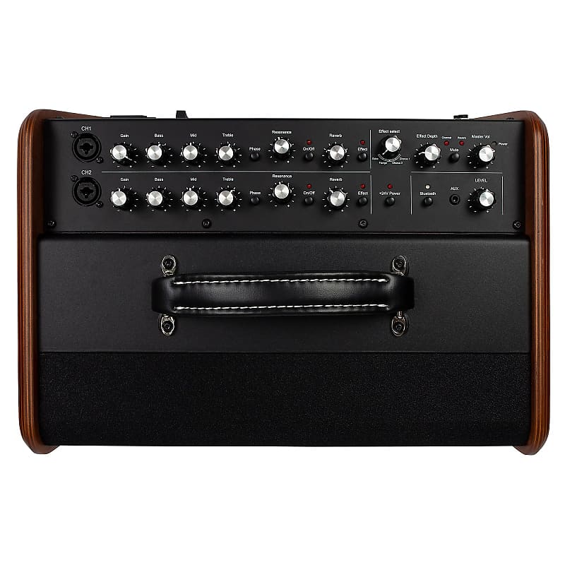 Godin	ASG-8 Acoustic Solutions 2-Channel 120-Watt 1x8" Acoustic Guitar Combo image 3