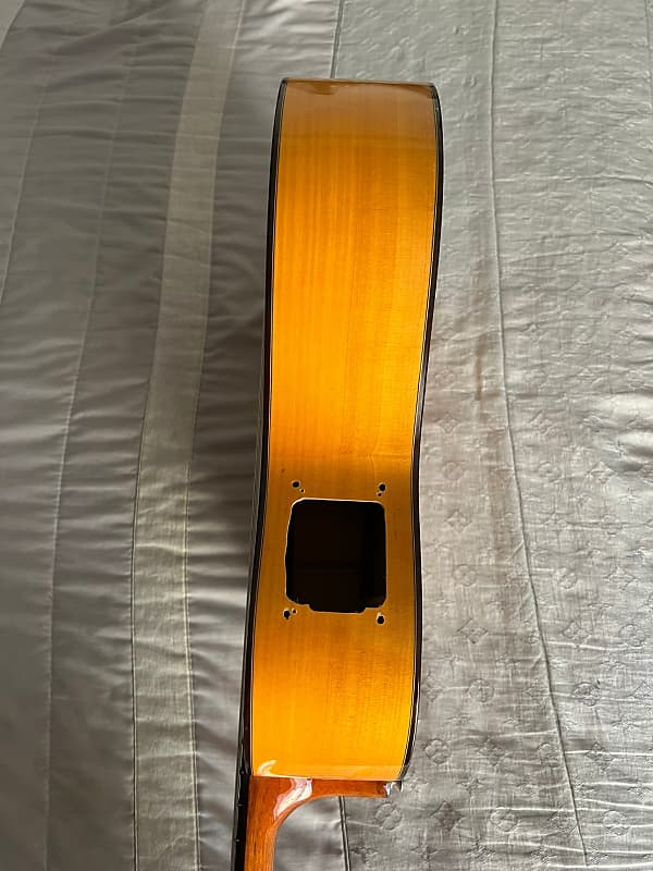 Flamenco Guitar Raimundo 646-E