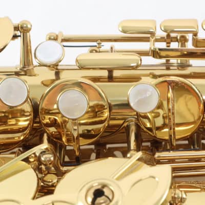 Eastman Model EAS850 Professional Alto Saxophone 'Rue Saint-Georges' GORGEOUS image 15