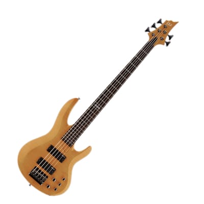 Esp ltd b15 5 string deals bass