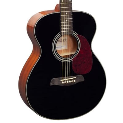 Brunswick BF200 Acoustic Guitar - Black for sale