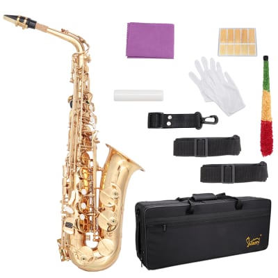 Glarry Alto Saxophone E-Flat Alto SAX Eb with 11reeds, case, carekit, Gold Color for Students image 2