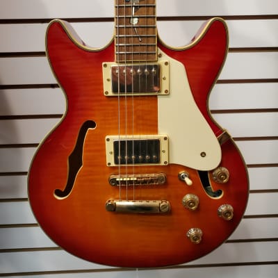 Jay Turser JT-134 Tree Of Life - Cherryburst | Reverb