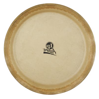 Latin Percussion LPA640A Aspire10" Pre Mounted Rawhide Replacement Quinto Head image 2