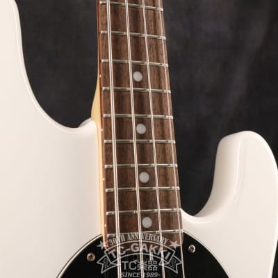Sterling by MUSIC MAN 2015 Ray 34 image 5