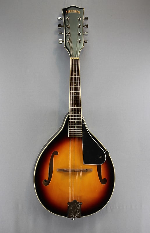 Appalachian APM-1 Mandolin Pickin' Pack