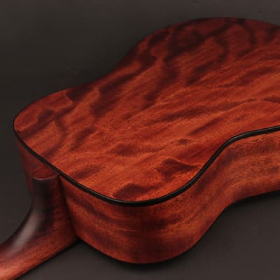 Cort AF505OP Standard Easy Play Series Concert Body Mahogany Back & Sides 6-String Acoustic Guitar image 4
