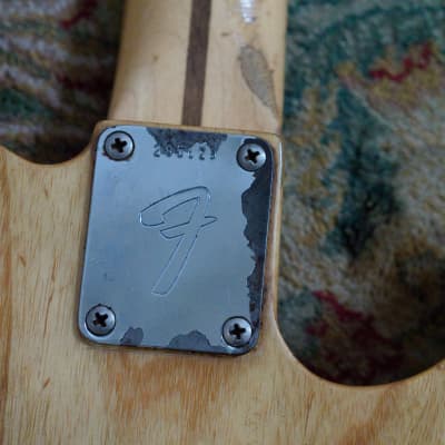 Fender Telecaster 1969 image 7