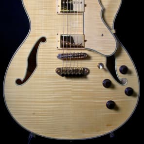 2006 IBANEZ AS103-NT-12-01 SEMI-HOLLOW BODY w/ HARDCASE | Reverb 2006 IBANEZ AS103-NT-12-01 SEMI-HOLLOW BODY w/ HARDCASE | Reverb