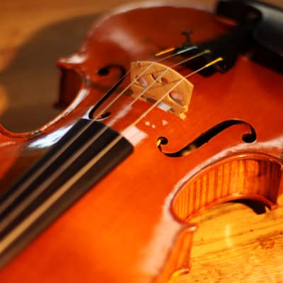 Haddon Brown Violin 4/4 - Sleeping Beauty Stradivari Model image 12