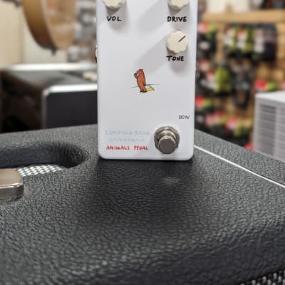 Surfing Bear Overdrive | Reverb Canada