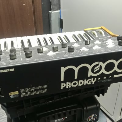 Moog Prodigy 1979 - 1984 image 3