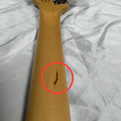 Godin Acoustic/Electric A5 Ultra FRETLESS, Natural *Factory Cosmetic Flaws, ON HOLD image 18