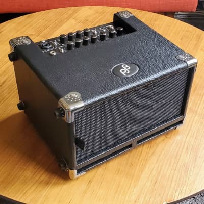 Phil Jones BG-100 Bass Cub 2x5 100w Combo Amp | Reverb