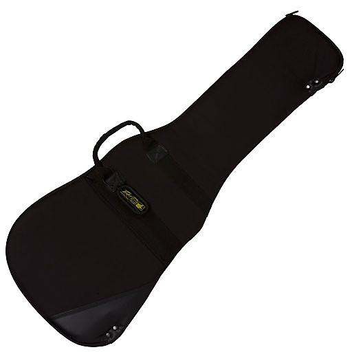 Peavey gig bag shop