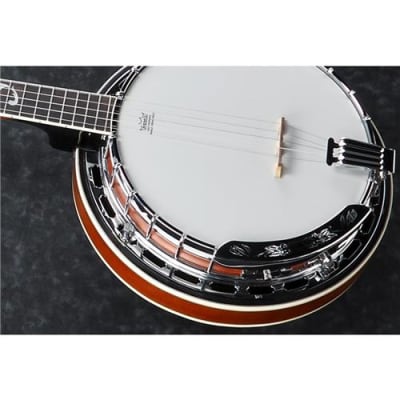 Ibanez B300 5-String Banjo, 22 Frets, Mahogany Neck, Rosewood Fretboard, Abalone Resonator Binding image 5