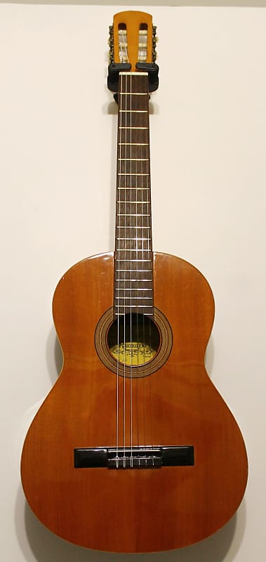 Guitare Classique Raimundo Model 100 image 1