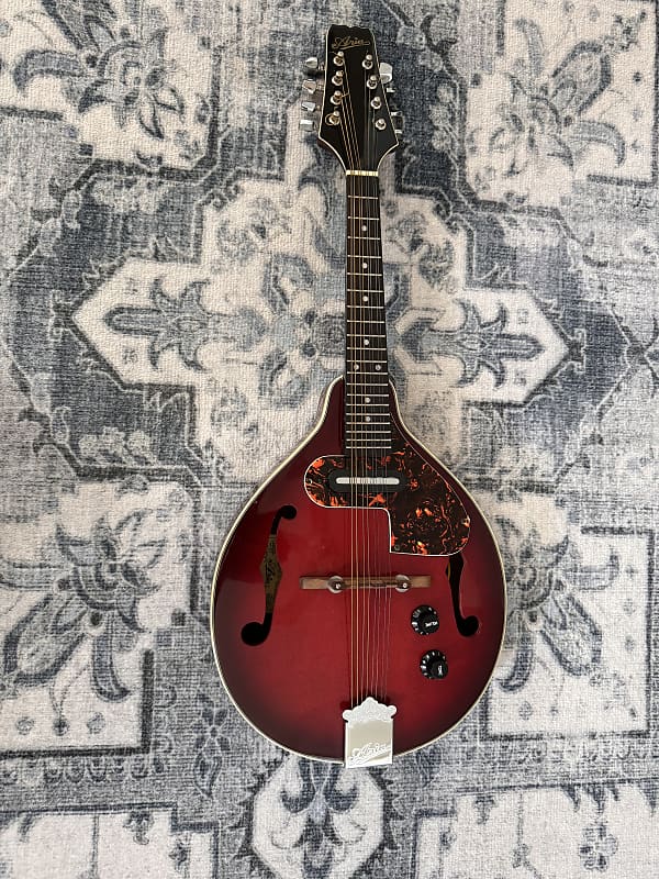 Aria/アリア FlatMandolin AM-200E BS フラットマンドリン/エレキマンドリン ギグケース付 同梱×/D4X(マンドリン)｜売買されたオークション情報、yahooの商品情報をアーカイブ公開  - オークファン ホビー、カルチャー