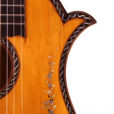 Albertus Blanchi harp guitar 1900 - masterbuilt romantic guitar - check video! image 4