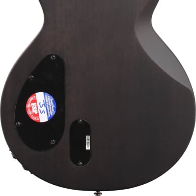 ESP LTD BB-600 Ben Burnley Signature Baritone Electric Guitar w/ Case image 2