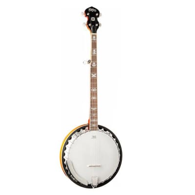Washburn Five String Banjo for sale