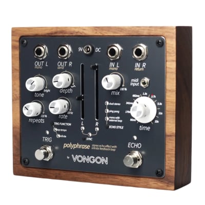 Vongon Polyphrase Stereo Delay 2022 - Present - Black image 3